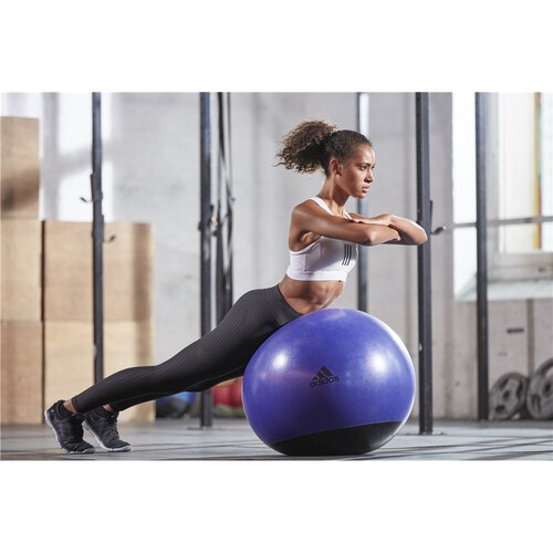 Adidas Premium Gym Ball -65cm